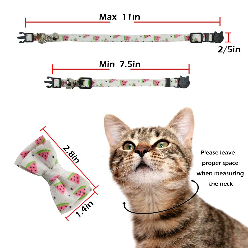Pipidog collar-gato-caja-regalo: llega en caja regalo listo para estrenar.