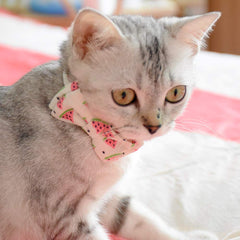 Pipidog collar-gato-patrones-flor: diseño bonito y cómodo para gatitos.