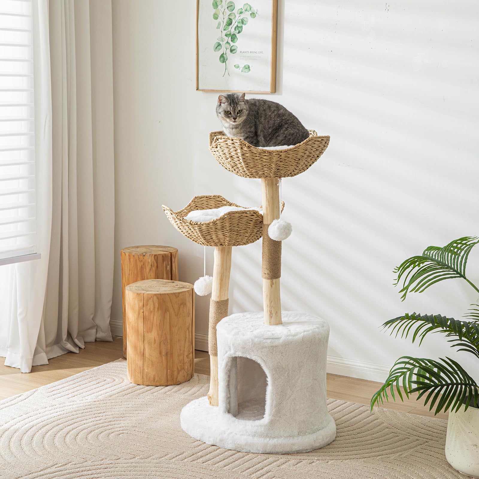 PISARRY condo-gato lujo cestas-rattan blanco: refugio elegante para descansar