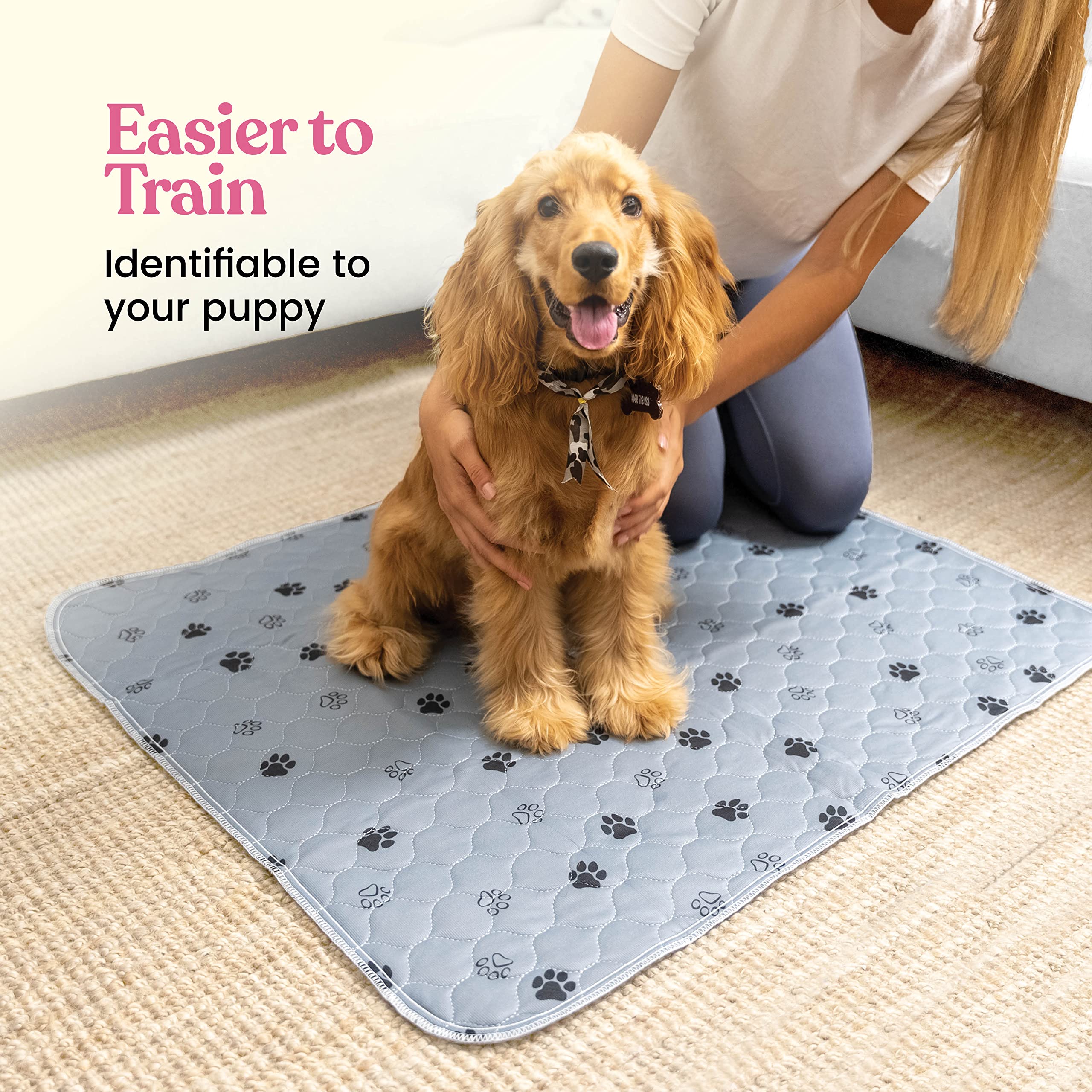 Pitpet absorcion superior, almohadilla que previene derrames y desorden en casa.