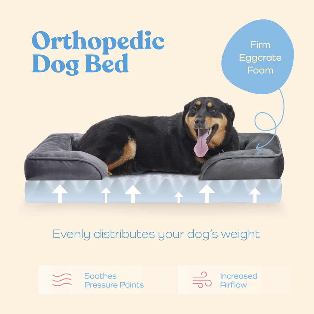 Pitpet cama con almohada para cuello y cabeza del perro.