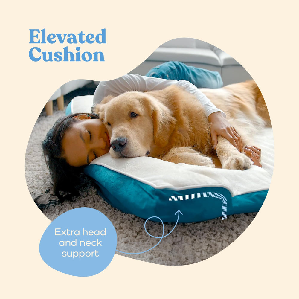 Pitpet cama con funda lavable y removible para limpieza fácil.