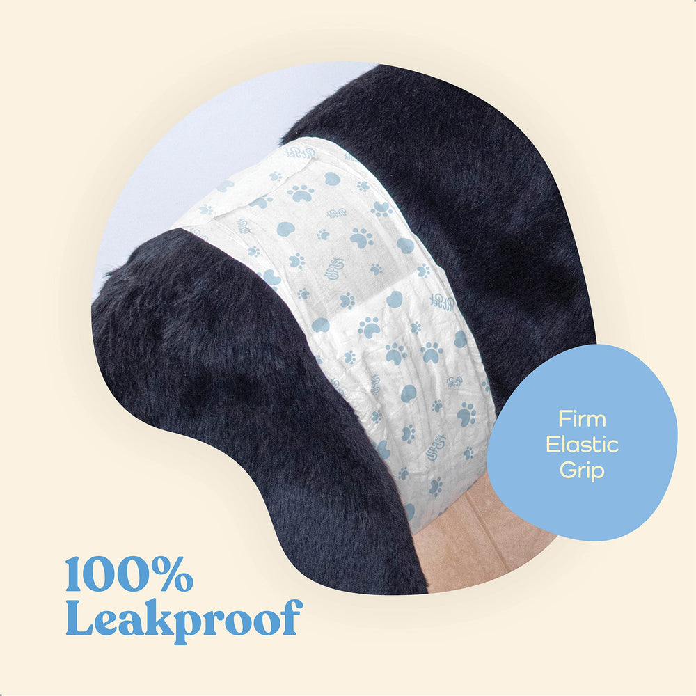 PITPET núcleo ultraabsorbente transforma líquidos en gel para comodidad duradera.