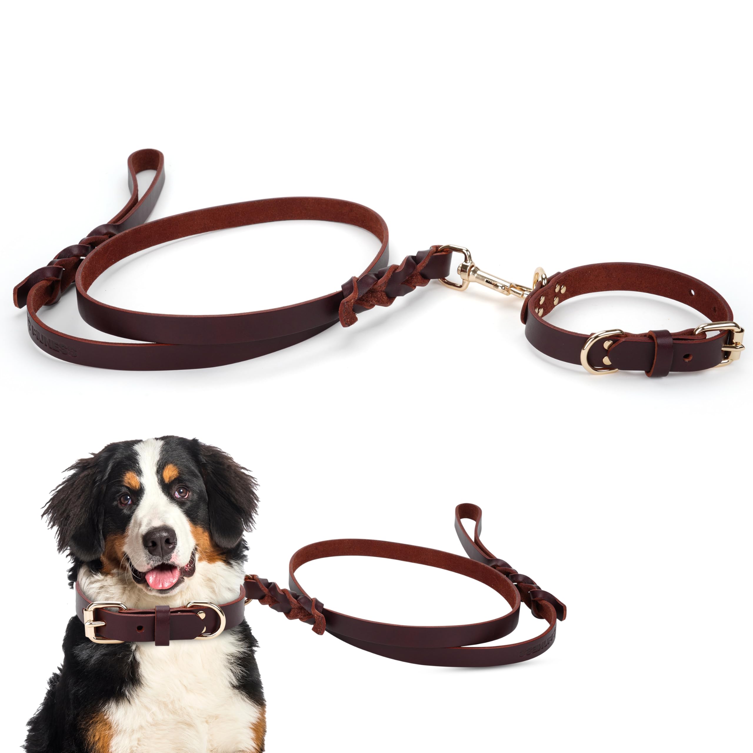 Piuness collar y correa de cuero genuino, durabilidad para uso diario.