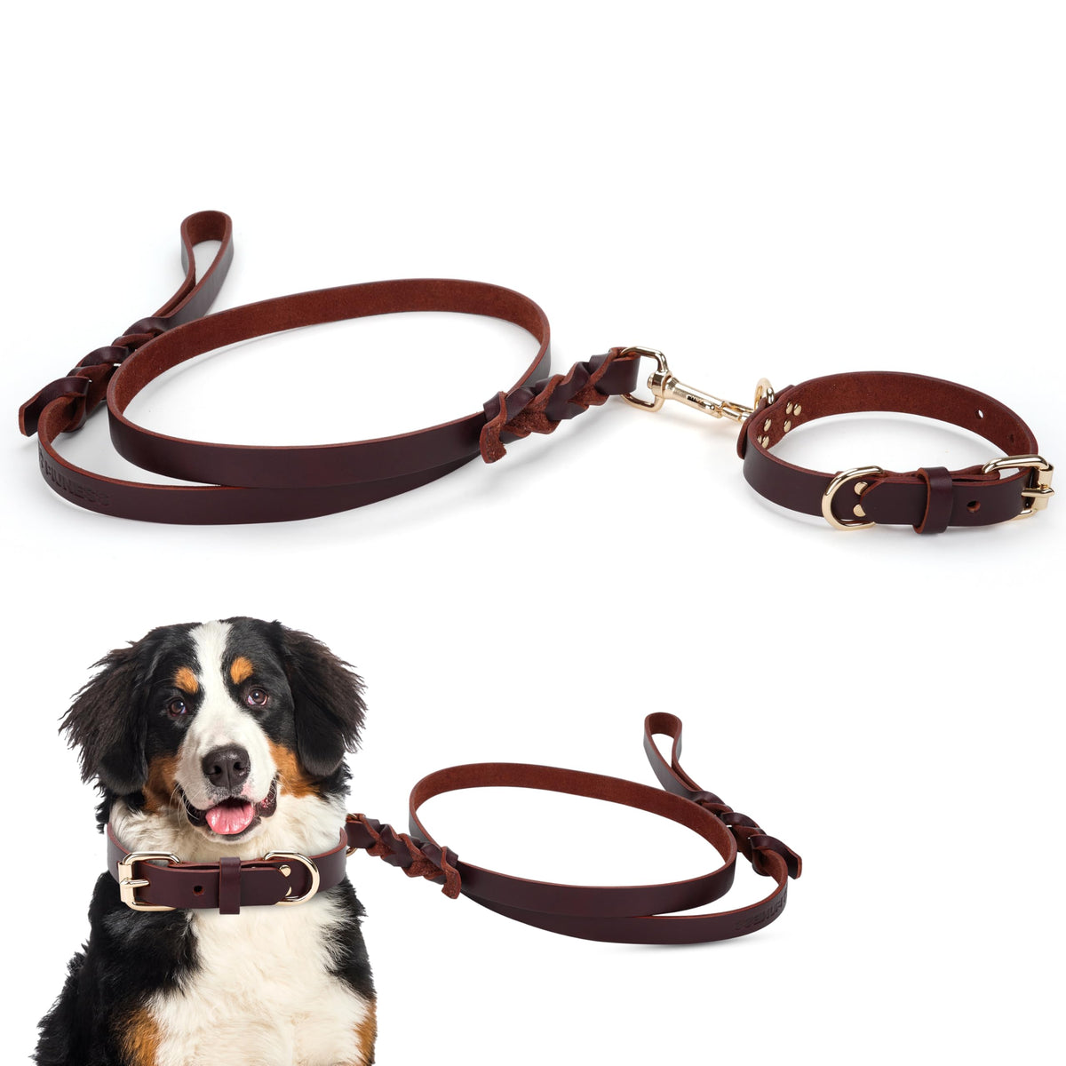 Piuness collar y correa de cuero genuino, durabilidad para uso diario.