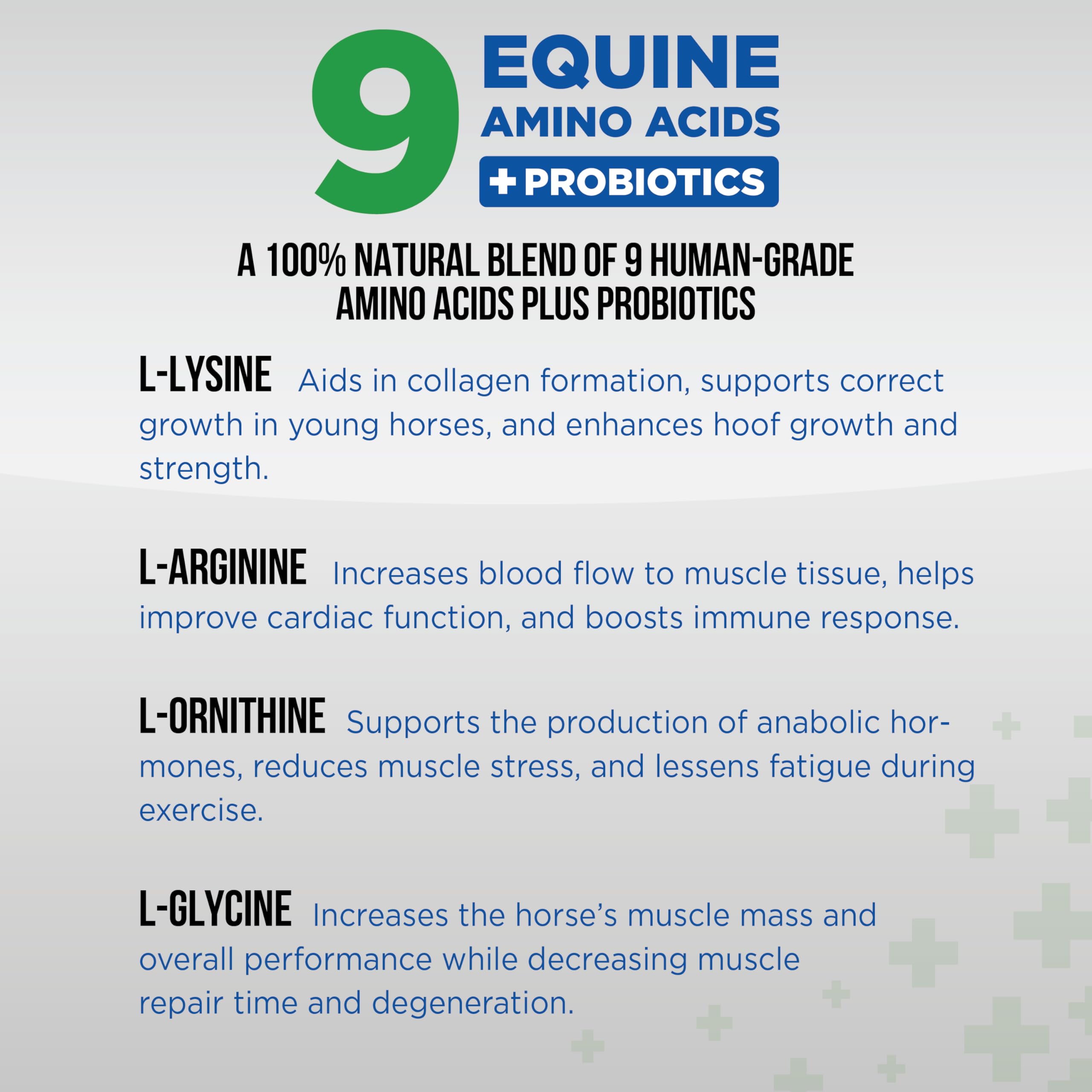 Pivotal Equine Total Recovery: caballo en entrenamiento gracias al soporte nutricional