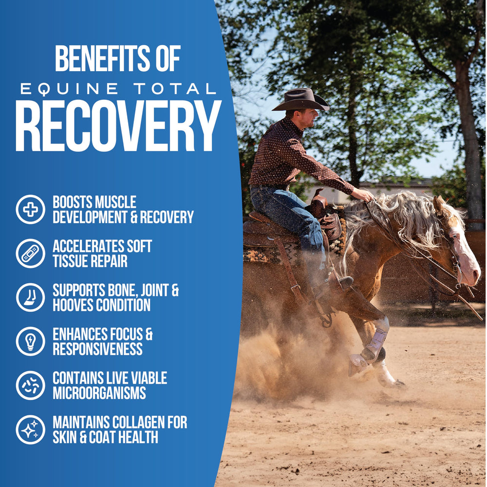 Pivotal Equine Total Recovery: cucharada sobre el grano mejora absorción y rendimiento