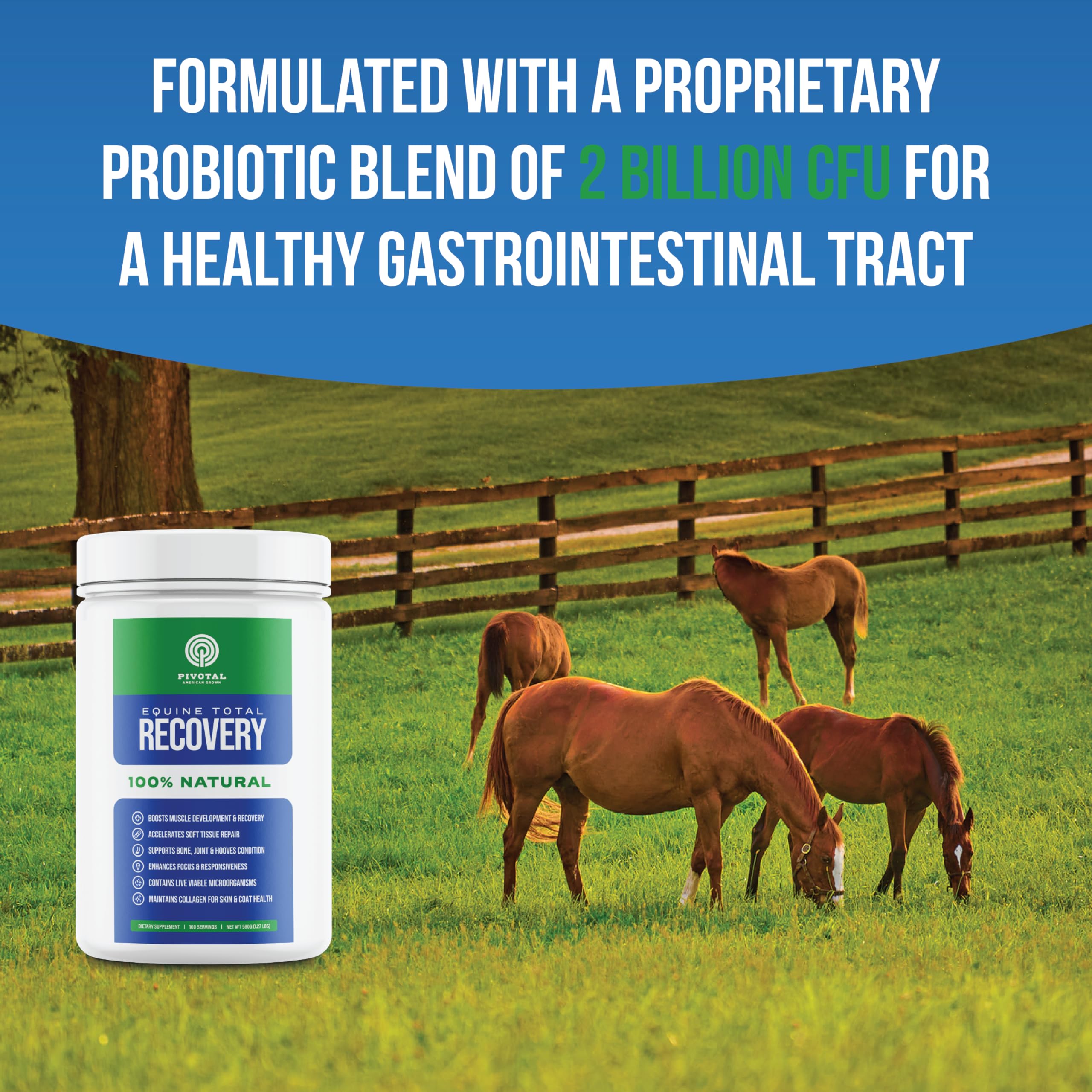 Pivotal Equine Total Recovery: etiqueta visible que respalda calidad y producción en EE.UU.