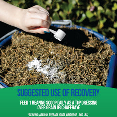 Pivotal Equine Total Recovery: mezcla con grano para digestión equilibrada
