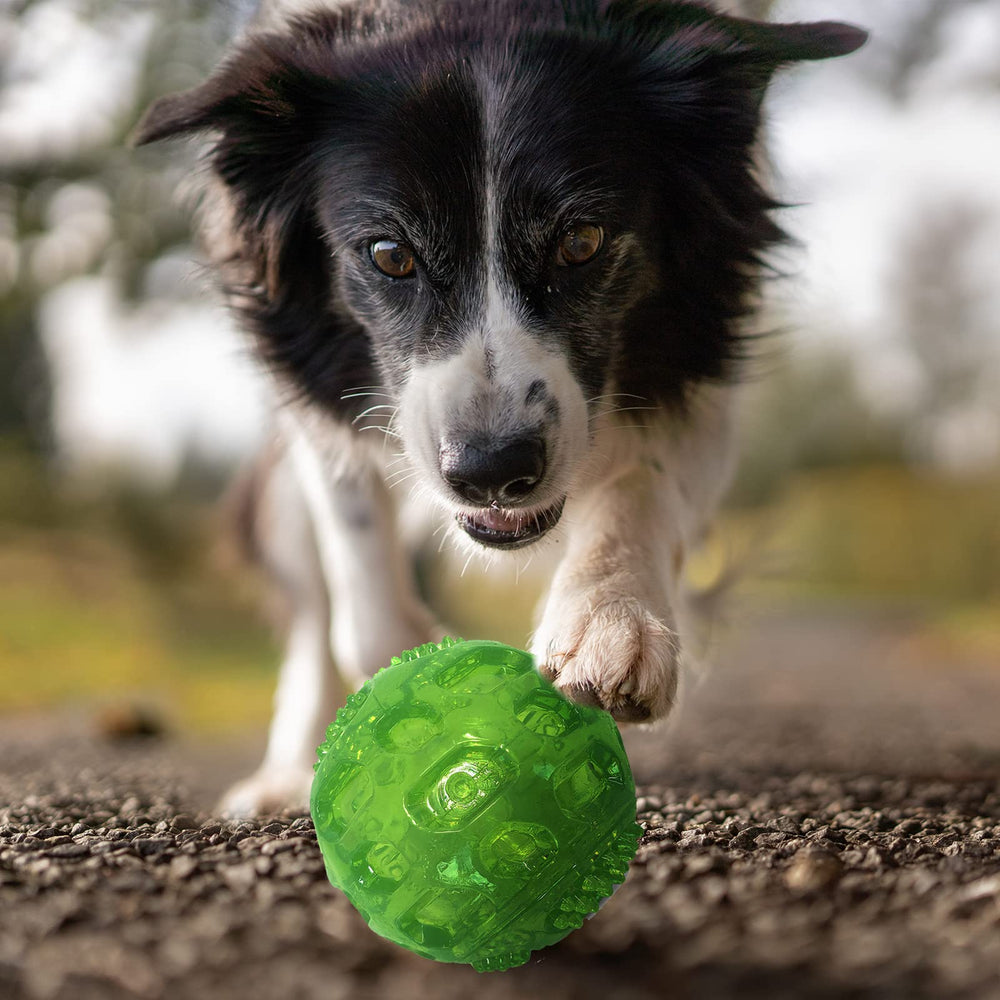 Bola PJDH apta para perros grandes y medianos para masticar.