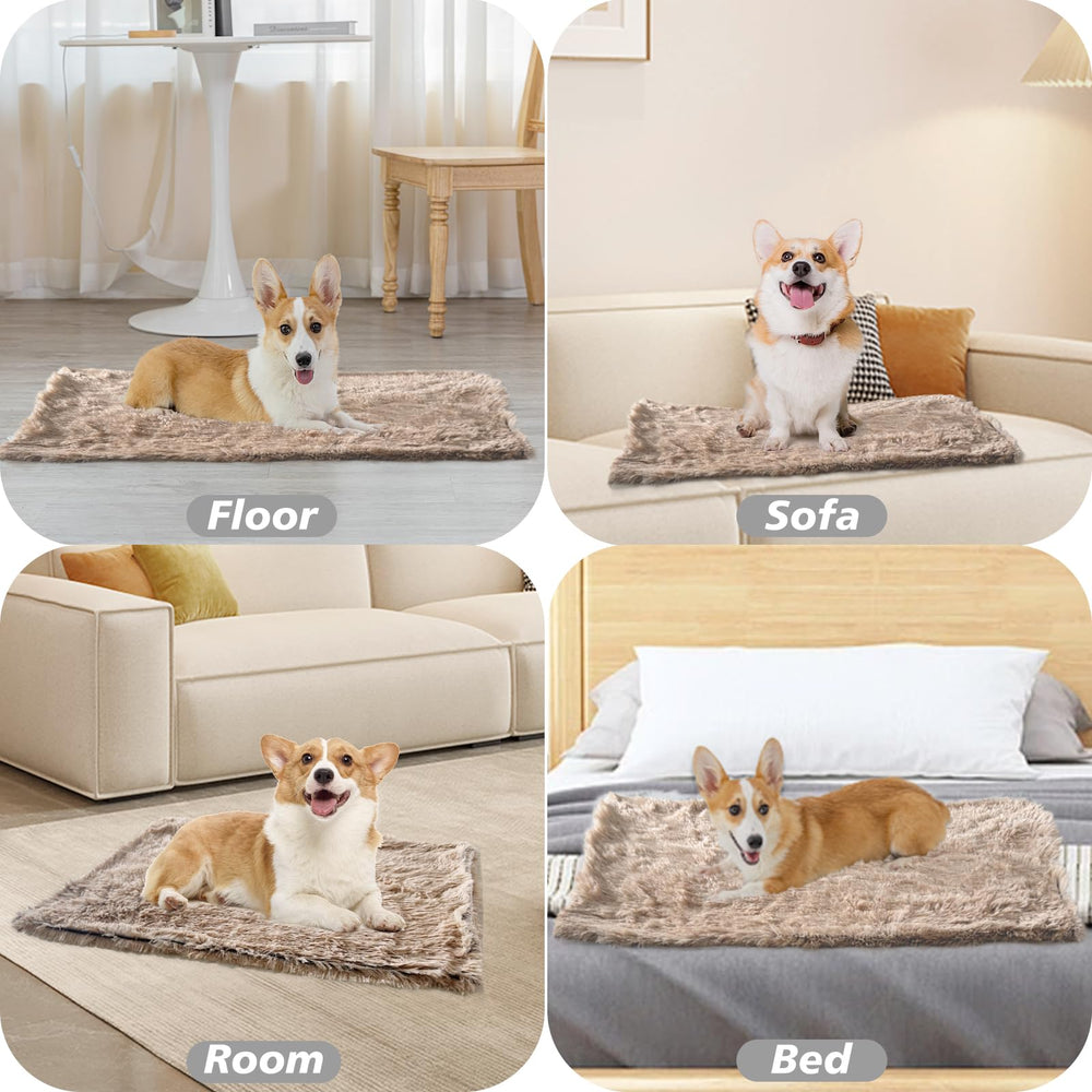 PJYuCien manta-60x80cm: ideal para gatos y cachorros pequeños.