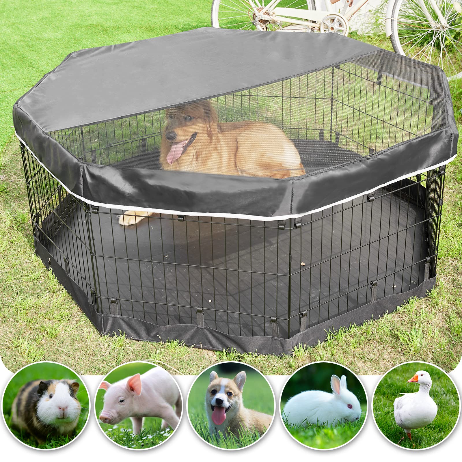 Cuatro tallas disponibles para perros pequeños y medianos