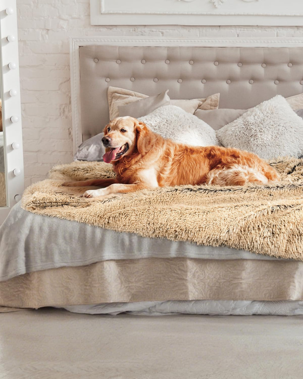 PJYuCien ofrece tallas variadas para perros pequeños a grandes, opciones cómodas.