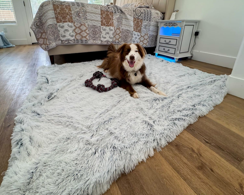 Manta PJYuCien disponible en tallas para perros medianos y grandes