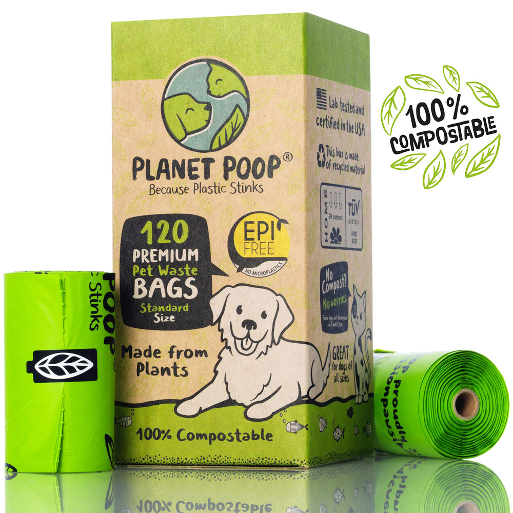PLANET POOP apoya a perros en Bali mediante una iniciativa solidaria.