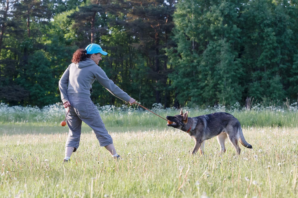 Ejercicio al aire libre con la pelota de goma PlayfulSpirit para perros.