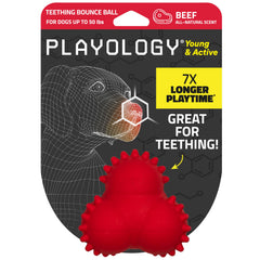 Playology: bola de dientes ternera con aroma natural para masticación suave.