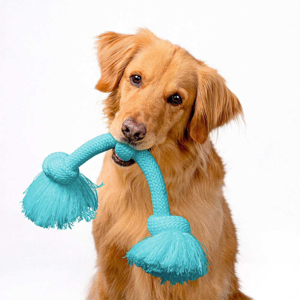 Playology Dri-Tech juguete con aroma a mantequilla de maní para perros
