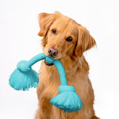 Playology Dri-Tech juguete con aroma a mantequilla de maní para perros