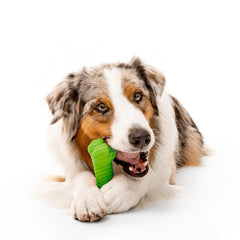 Playology Hueso limpieza facil: se limpia con agua tibia sin perder aroma.