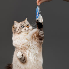 Playology juguete interactivo para gatos con menta-de-gato.