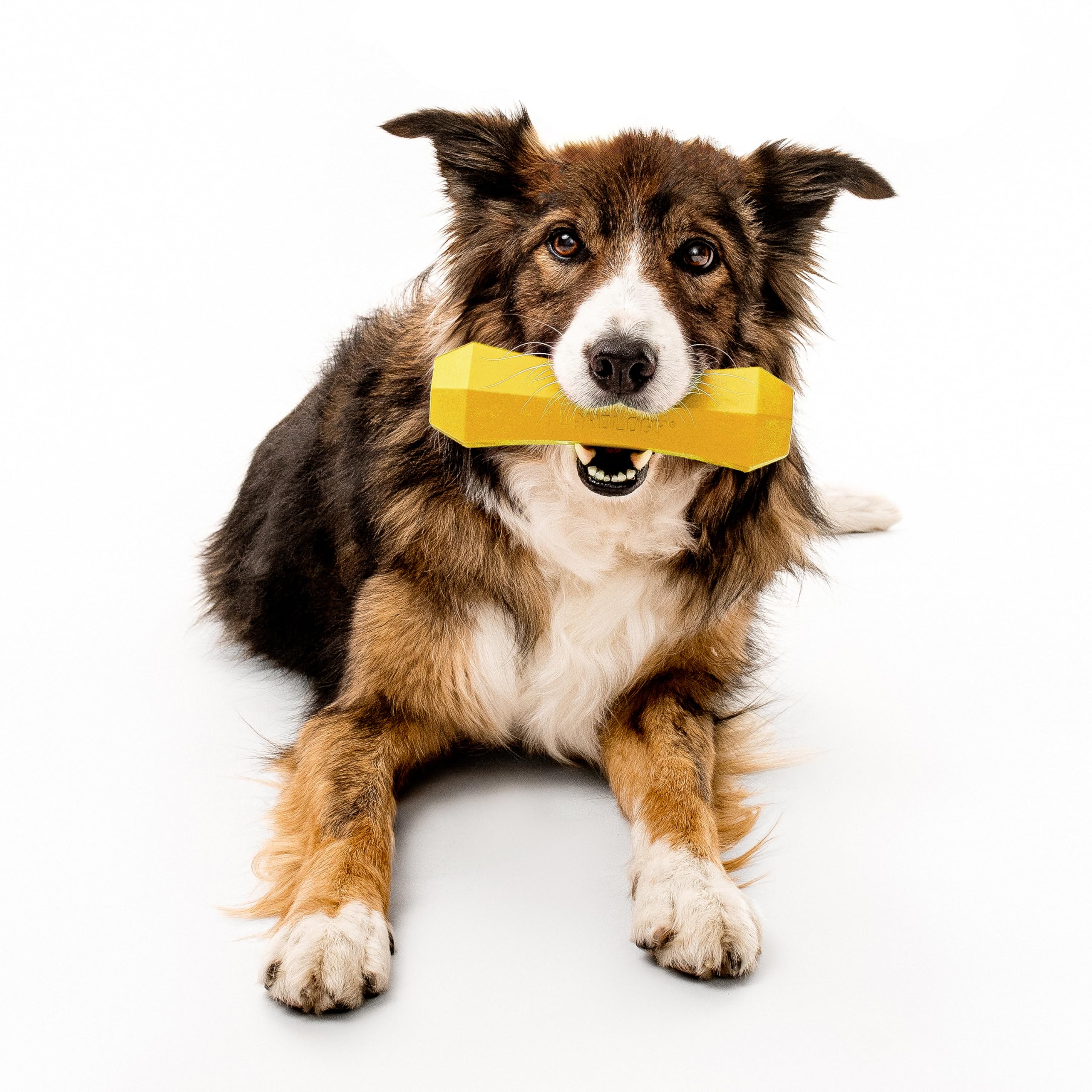 Playology juguete perro flotante para juego en agua.