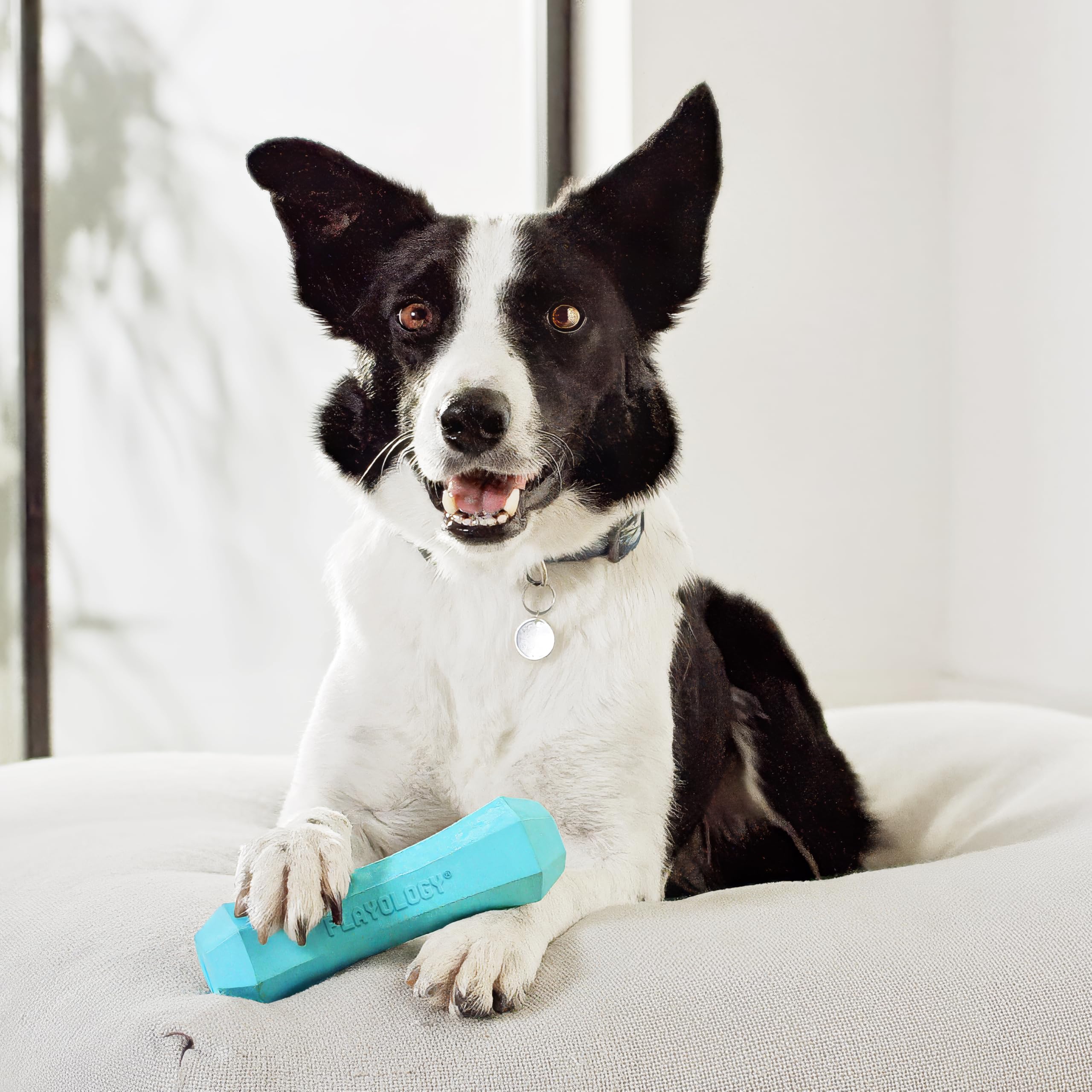 Playology Juguete perro flotante para agua: ideal para juegos en piscinas y playas.