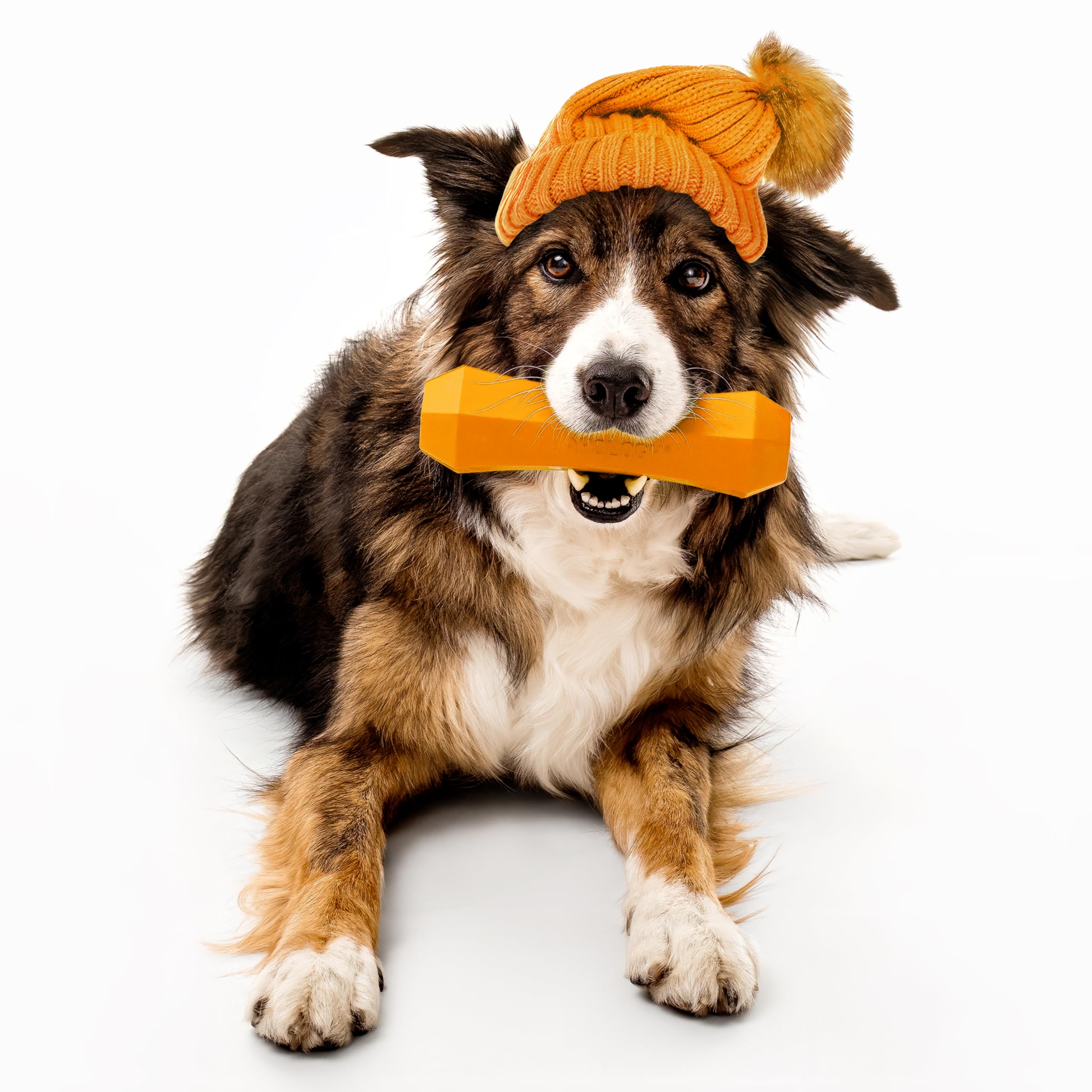 Playology juguete para perros con aroma a calabaza y especias