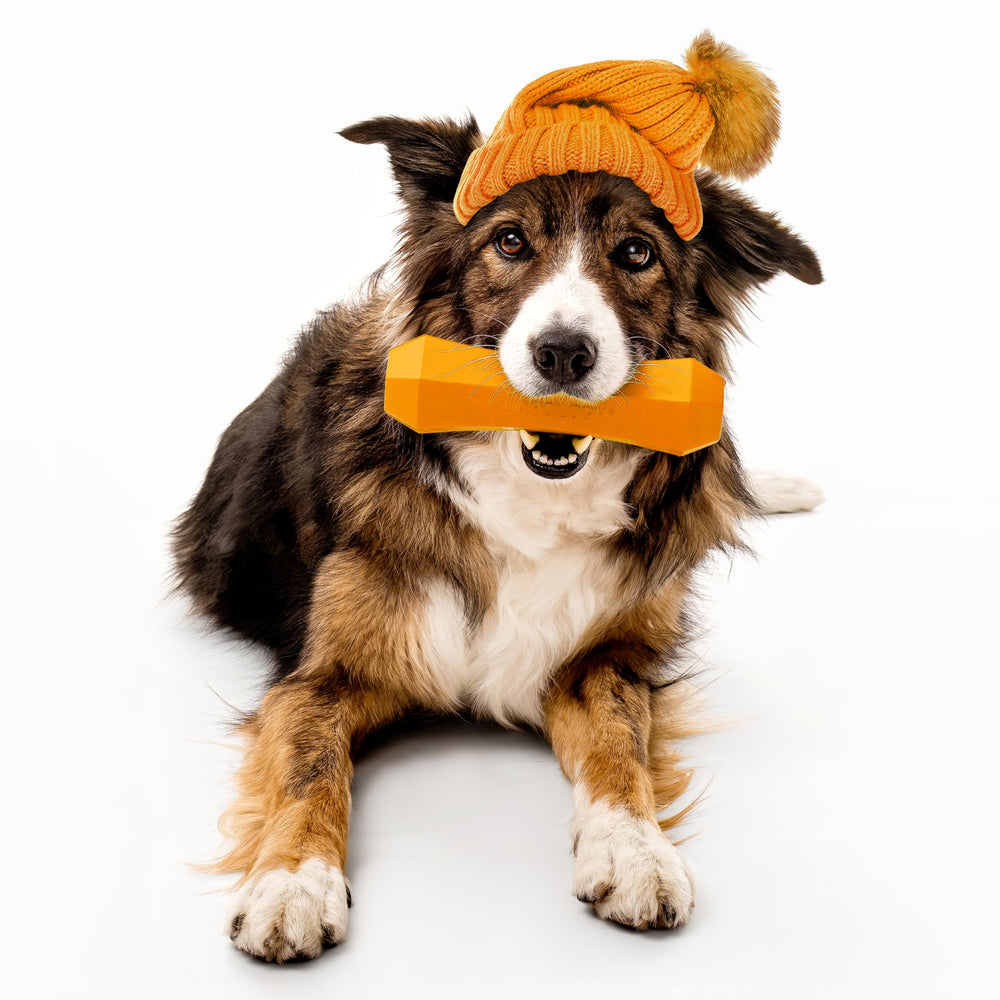 Playology juguete para perros con aroma a calabaza y especias