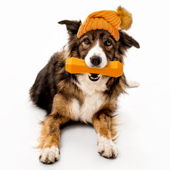 Playology juguete para perros con aroma a calabaza y especias
