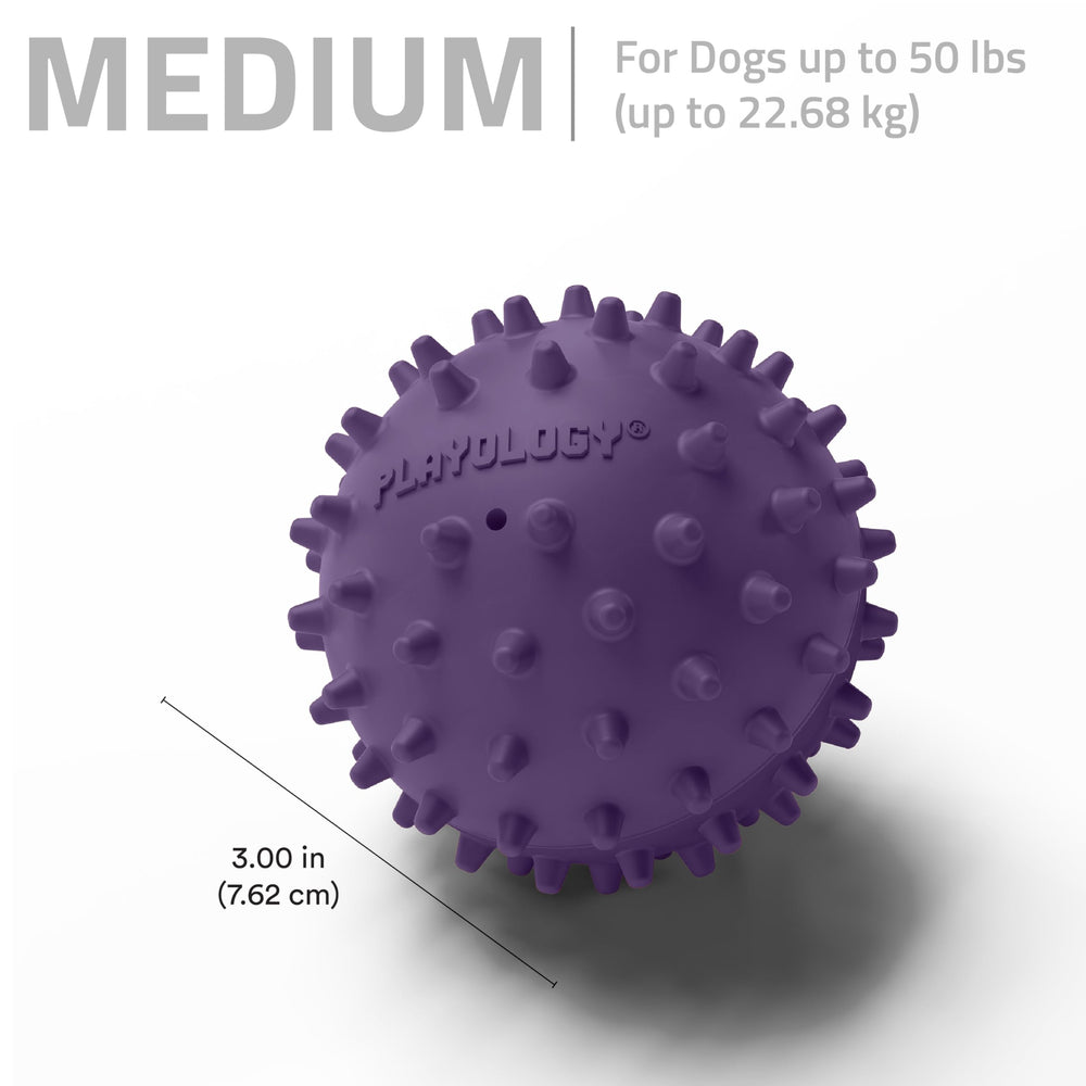 Playology Tamaño mediano para perros hasta 22 kg, ideal para masticación intensa.