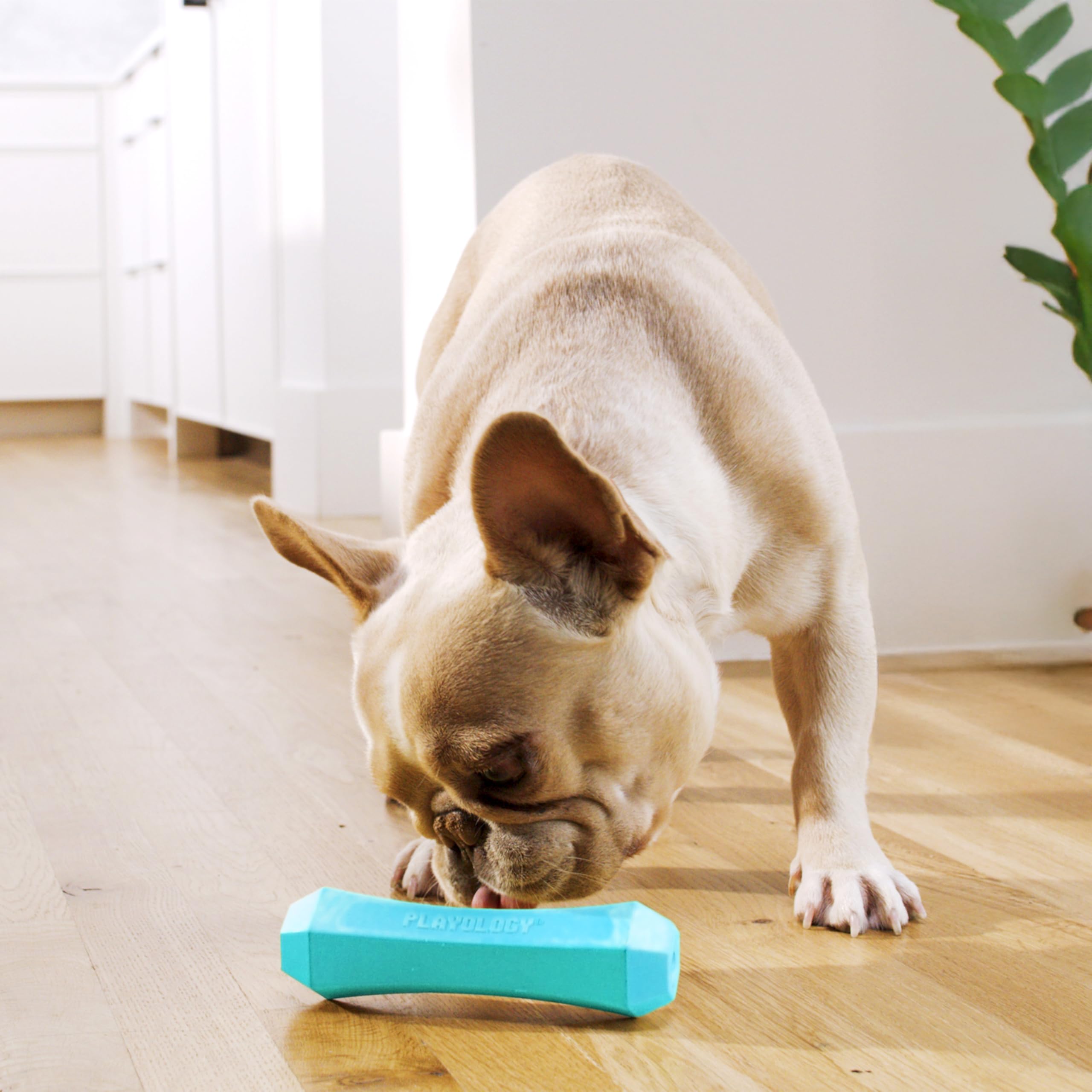 Playology tecnología encapsiscent con aroma natural que atrae a tu perro durante más tiempo