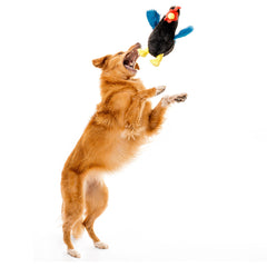 Playology Juguete gallina con tecnología encapsiscent y aroma natural duradero.
