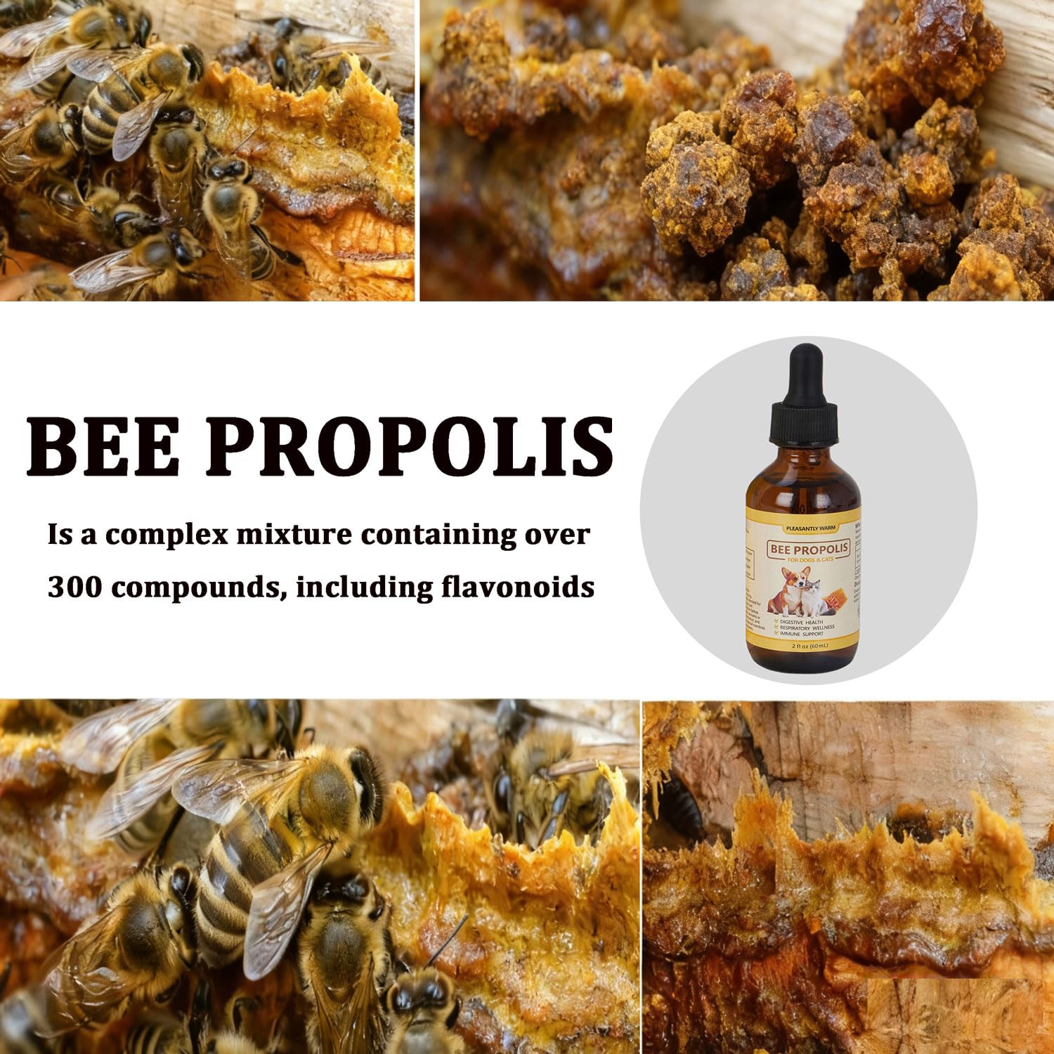Pleasantly Warm Propolis para encías sensibles, alivio suave durante el cuidado dental.
