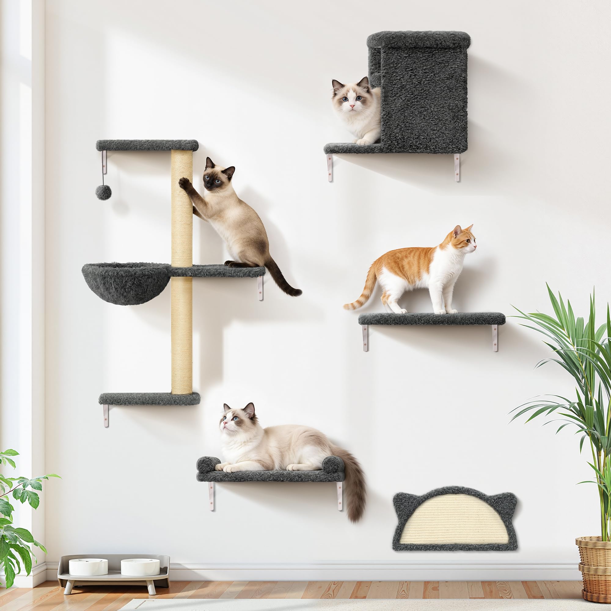 PLEKER estantes de pared para gatos 5 en 1: seguridad y estilo en altura