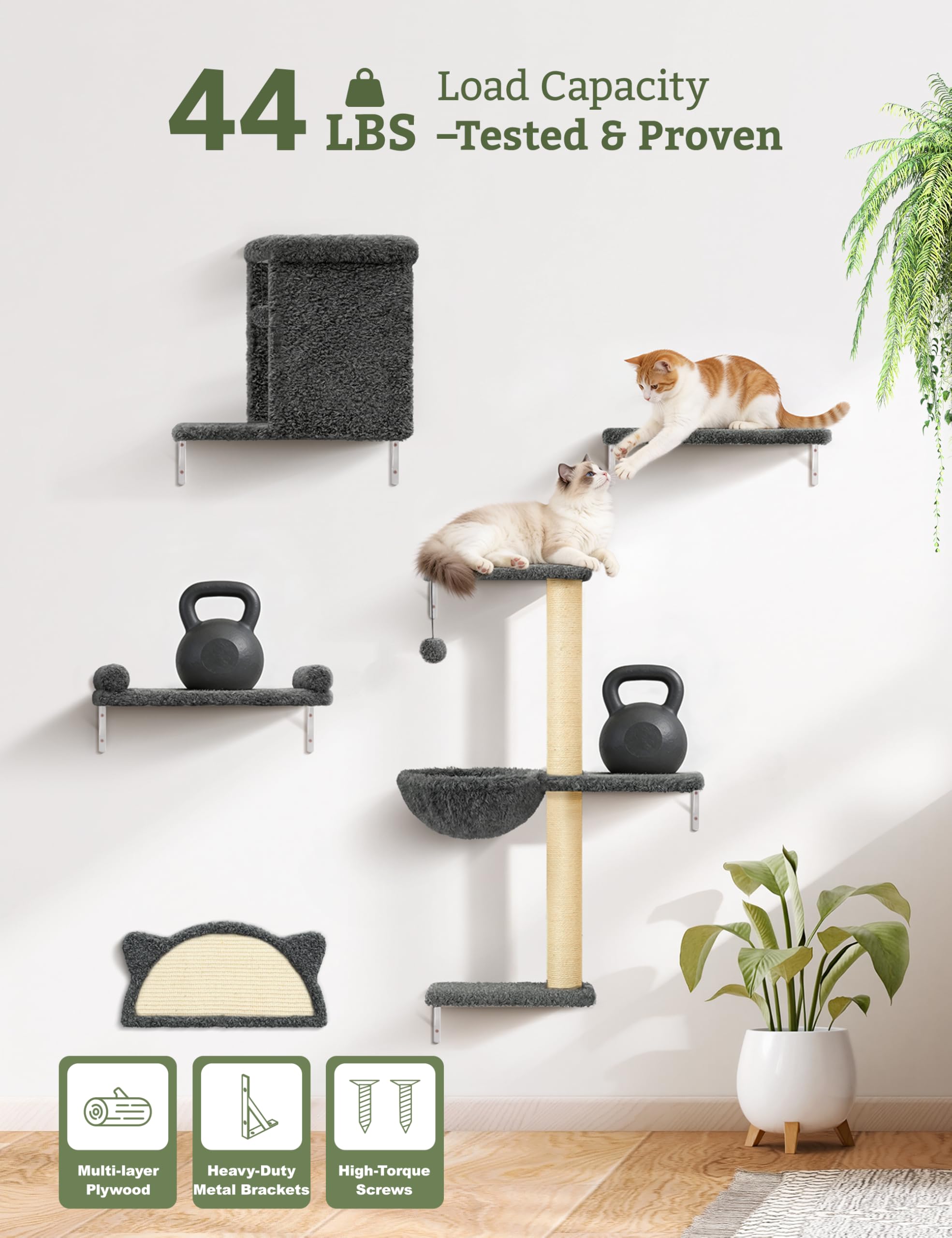 PLEKER percha de pared para gatos: elevación divertida y observación