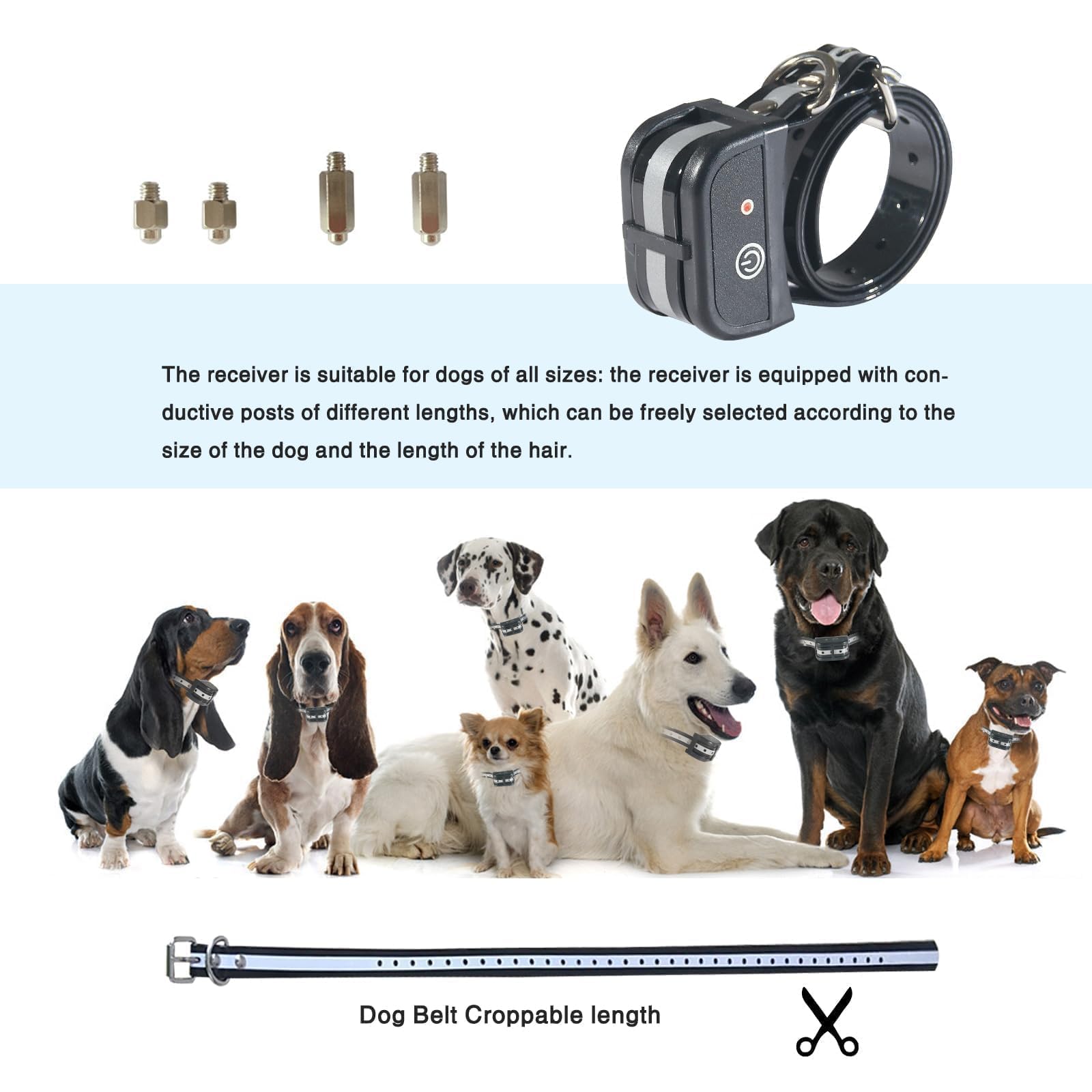 Sistema para varios perros con control individual.
