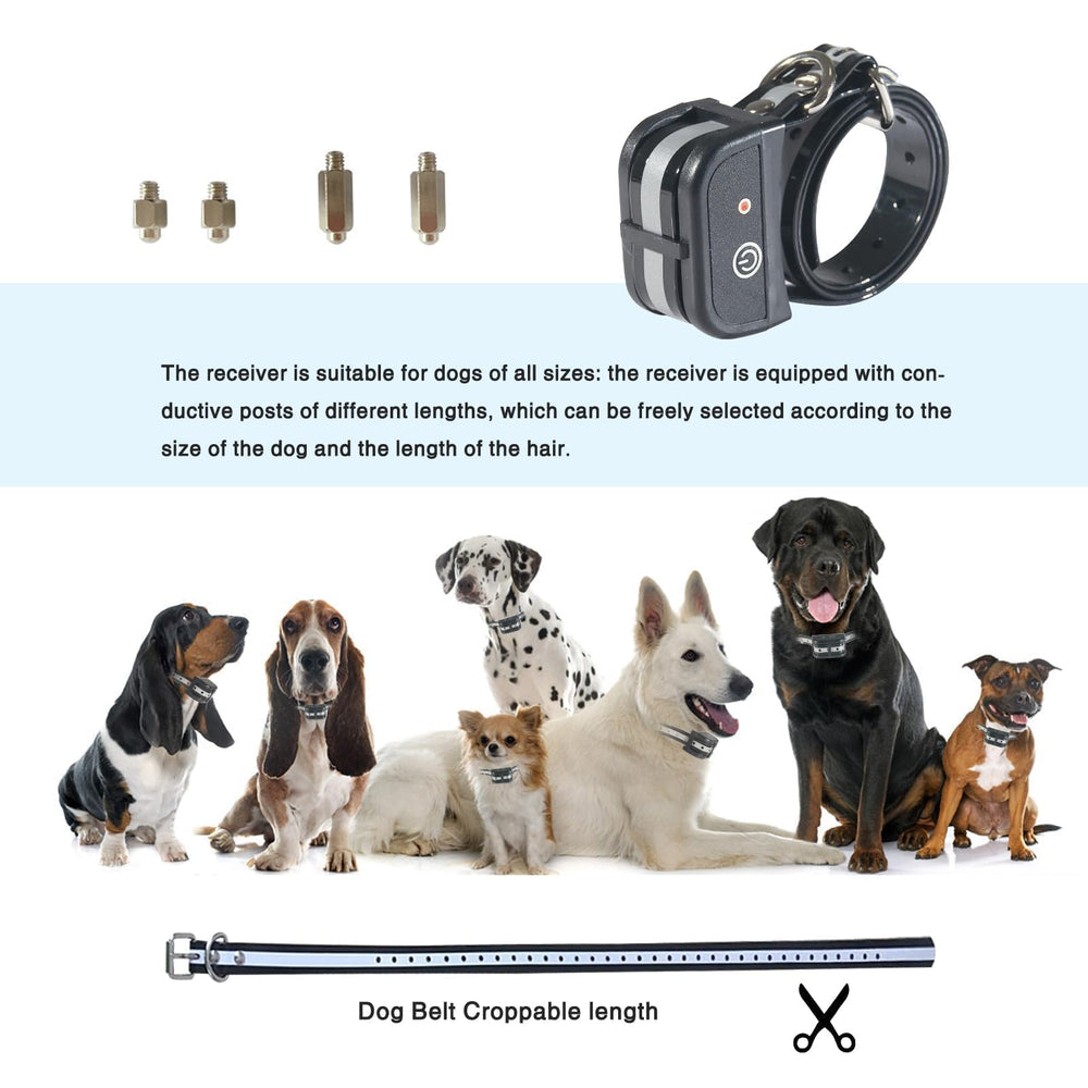 Sistema para varios perros con control individual.
