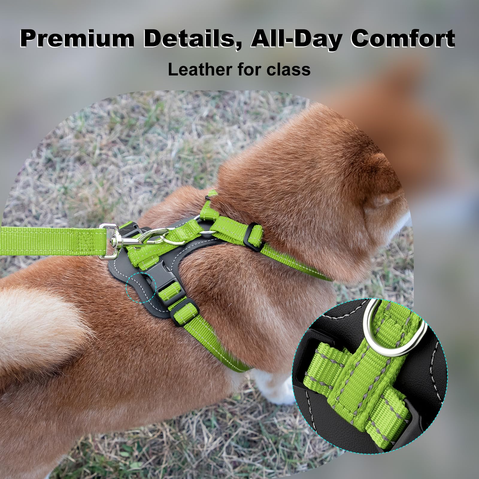 Arnés PLUTUS PET con acentos de cuero para durabilidad y estilo.
