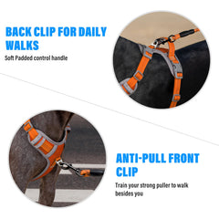 Arnés Plutus Pet ajustable con cuatro correas para un ajuste seguro