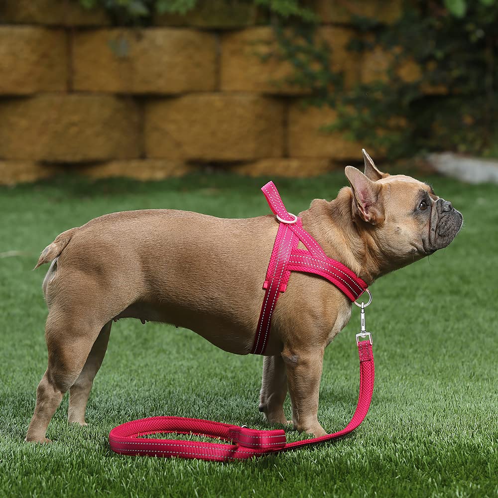 Arnés Plutus Pet ajustable para perros de todos tamaños con acolchado