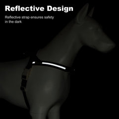 PLUTUS PET arnés reflectivo para mayor visibilidad en paseos nocturnos