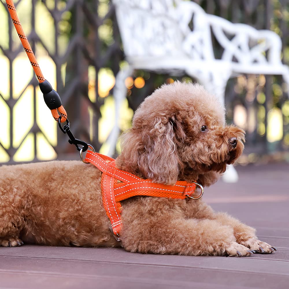 Arnés PLUTUS PET cómodo y ventilado para uso diario