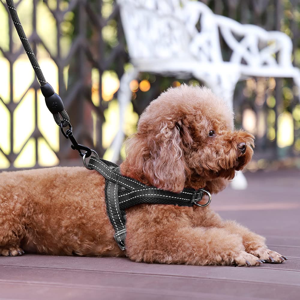 PLUTUS PET arnés de nylon con correas reforzadas para mayor durabilidad.