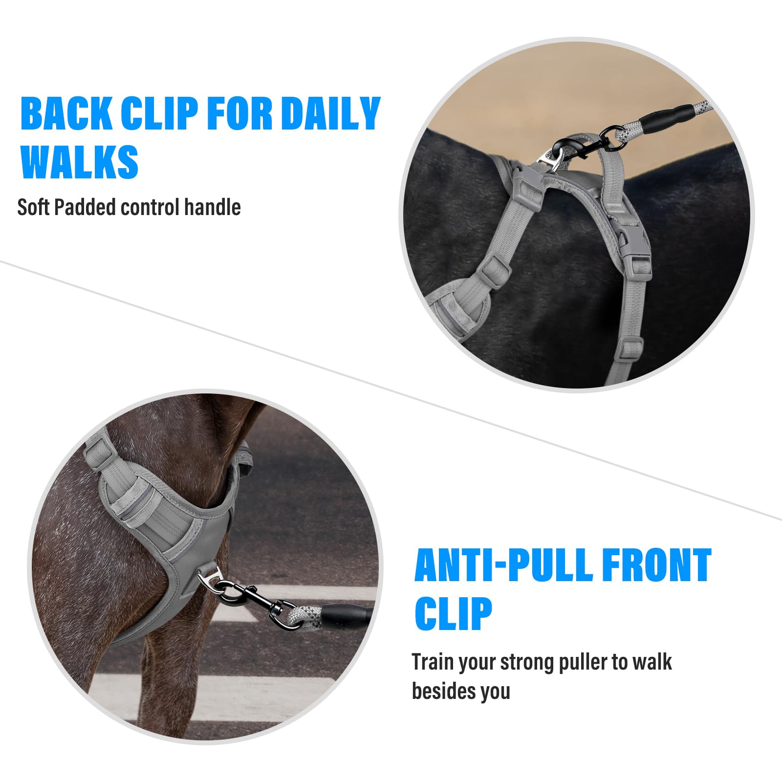 Confort doble capa en el arnés Plutus Pet para caminatas largas.
