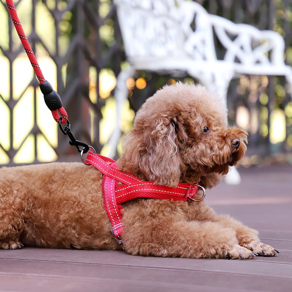 Arnés Plutus Pet con dos anillos reforzados para mayor durabilidad