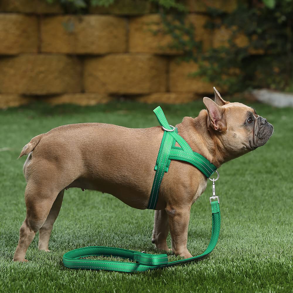 Plutus Pet arnés de nailon duradero con anillo en D