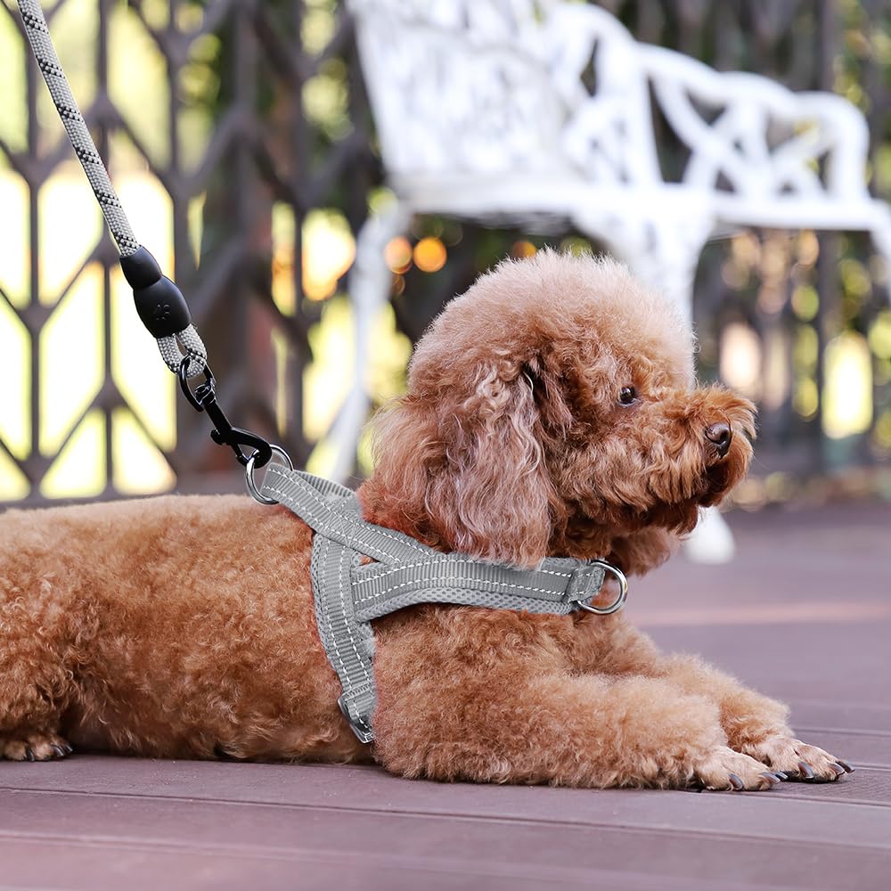 Arnés Plutus Pet duradero en nylon para uso diario y exterior
