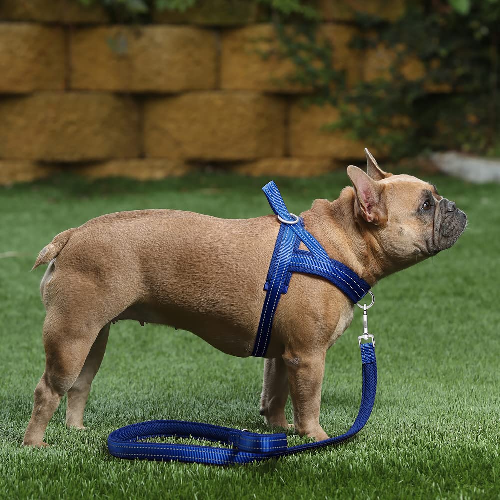 PLUTUS PET arnés de nylon reforzado para uso diario y duradero.