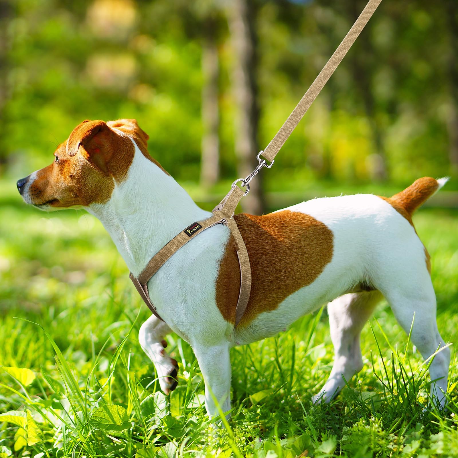 PLUTUS PET arnés paseo diario: seguridad y tranquilidad en cada salida.